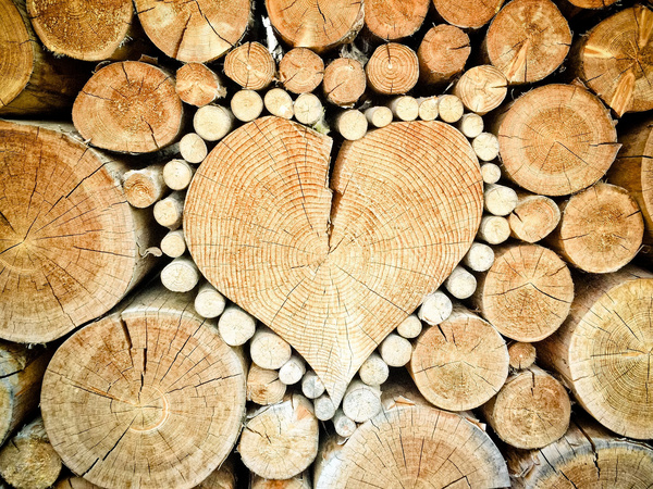 HOLZ ist wunderbar! HOLZ ist wunderbar!
